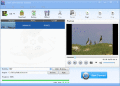 Screenshot of Lionsea FLV Converter Ultimate 4.4.1