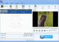 Screenshot of Lionsea MP4 To WMV Converter Ultimate 4.9.2