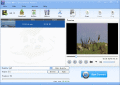 Screenshot of Lionsea MKV To AVI Converter Ultimate 4.7.4
