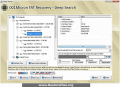 Screenshot of FAT Partition File Restore Software 6.1.1.3