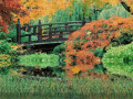 Screenshot of Autumn Scenery 3.0