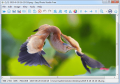 Screenshot of Easy Photo Studio FREE for Windows 3.0.6