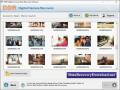 Screenshot of Digital Camera Recovery Download 8.0.4.2