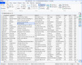 Rons Data Edit: Professional CSV & Text Editor