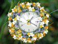 Screenshot of 7art White Flower Clock ScreenSaver 1.1