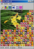 Screenshot of ClickPuzzle 3.23