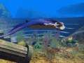 Screenshot of Atlantis 3D Screensaver 1.5