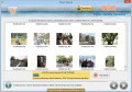 Screenshot of Digital Camera Recovery Software 5.6.1.3