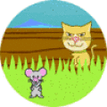 Help little mouse escape from the cat and the