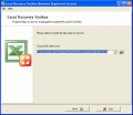 Screenshot of Excel Recovery Toolbox 1.4.24