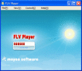 FLV Player is exclusive for playing flv files