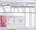 Screenshot of EMS SQL Manager 2008 for InterBase/Firebird 5.0
