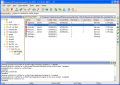 Screenshot of Dynamsoft SourceAnywhere for VSS 6.2