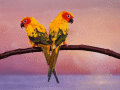 See parrots on desktop of your computer.