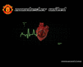Animated screensaver about Manchester United