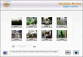 Screenshot of Digital Camera Images Recovery 3.0.1.5