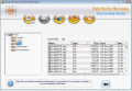 Screenshot of Digital USB Media Recovery Tool 3.0.1.5