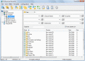 Screenshot of Professional Renamer 3.98