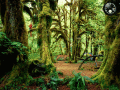 Screenshot of Rainy Forest 3.0