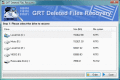Screenshot of GRT Deleted Files Recovery for NTFS 2.5.1