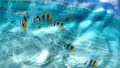 Screenshot of Watery Desktop 3D Screensaver 3.51