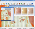 Screenshot of Tile Mosaic Maker Pro 8.30