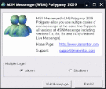Multiple copies of MSN Messenger.