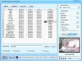 Screenshot of DDVideo DPG to FLV Converter Gain 4.5