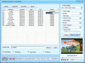 Screenshot of DDVideo Flash SWF to  FLV Converter 4.5