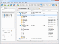 Screenshot of Network Scanner by LizardSystems 3.0