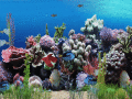 Screenshot of Aquarium Animated Wallpaper 1.0.0
