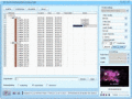 Screenshot of DDVideo DVD to Sansa Media Suite 4.3.1