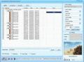 Screenshot of DDVideo DVD to Sansa Media Converter Gain 4.0