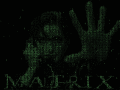 Screenshot of Trinity's Matrix Animated Wallpaper 1.0.0