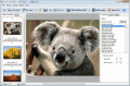 Screenshot of Boxoft Photo SlideShow Builder 1.4